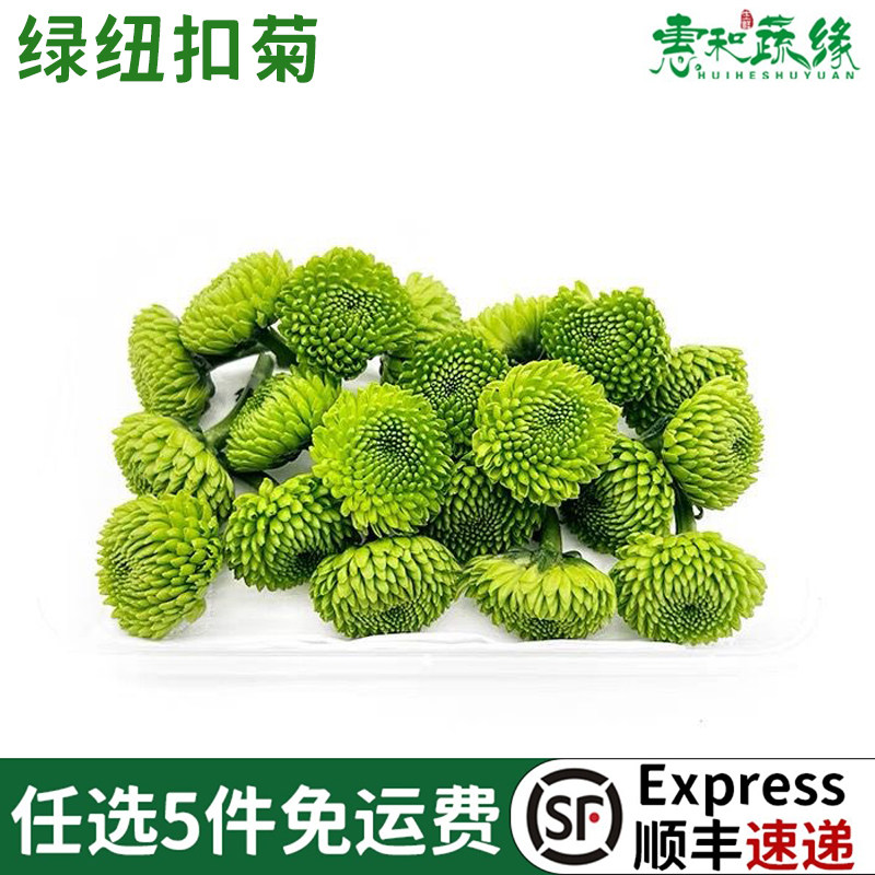 绿色纽扣菊新鲜小菊花迷你彩菊西餐日料摆盘烘焙蛋糕装饰花草鲜花