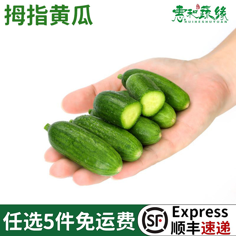 新鲜拇指小黄瓜手指小青瓜脆脆嫩爽口水果瓜生吃无刺不涩口拇指瓜