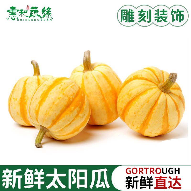 新鲜太阳瓜迷你小南瓜装饰雕刻