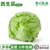 西生菜新鲜蔬菜圆生菜球包菜汉堡包蔬菜沙拉菜球生菜新鲜 500g 包邮