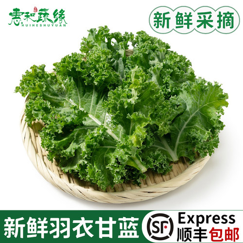 羽衣甘蓝新鲜kale蔬菜食用榨汁烤片健身轻食2斤西餐沙拉蔬菜食材