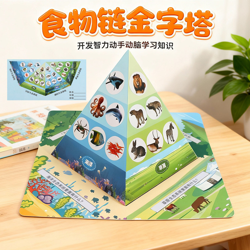 食物链金字塔儿童科学实验套装