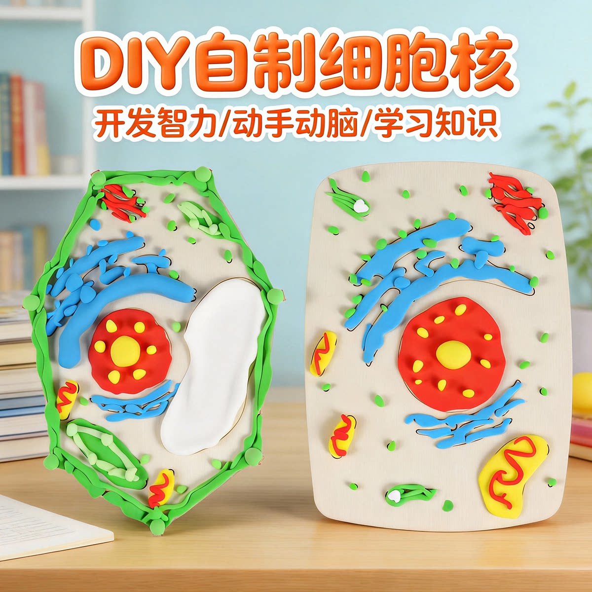 植物动物细胞结构模型制作器材料包科学DIY生物细胞核科技小制作