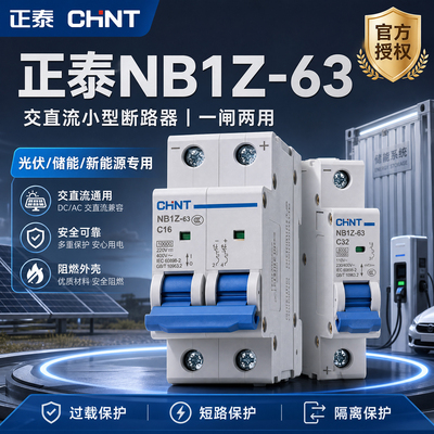 正泰NB1Z-63空开1P/2PAC/DC
