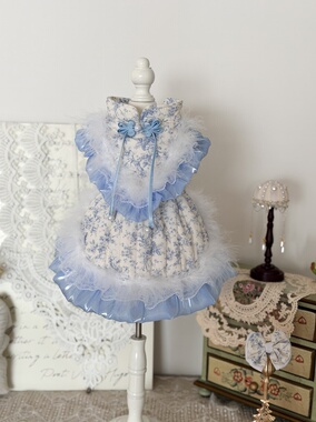 AW天蓝色简笔画改良版中式流苏猫咪狗狗小型犬幼犬博美泰迪小棉服