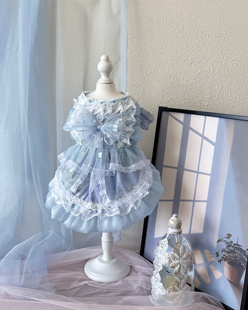 AW清冷系列莫奈水中倒影宠物衣服镭射蝴蝶流光梦幻蓝布偶比熊小约