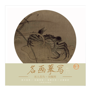 名画摹写·宋人花鸟·荷蟹图 零基础初学入门学生成人自学白描样稿线稿画谱图稿底稿 原大原图临摹国画工笔画描摹画册绘画书