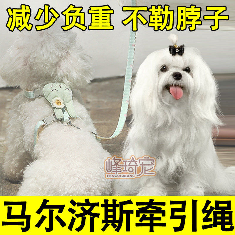 马尔济斯专用牵引绳溜狗狗背心式胸背带遛狗绳子项圈脖圈小型幼犬