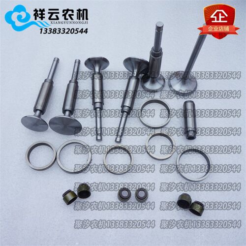 江苏江淮动力TY3100发动机配件缸盖气门/气门座圈/导管/气门油封