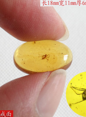 缅甸琥珀知足常乐支持鉴定戒面