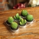 网红ins仿真植物蜡烛多肉无烟创意仙人掌茶蜡家居生日礼物装 饰