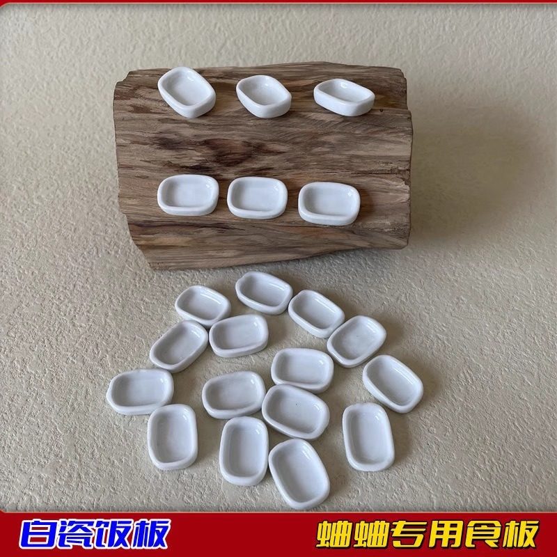 爬虫蜘蛛幼体陶瓷小水盆蟋蟀蛐蛐饭板食盆蝈蝈饭槽用具