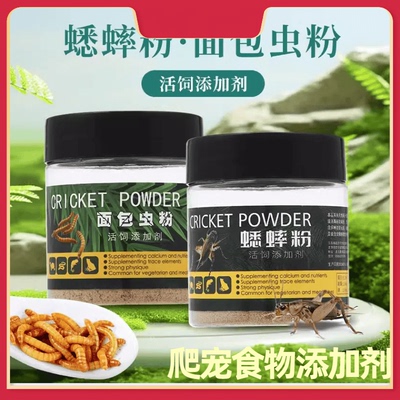 睫角蜥蜴爬宠面包虫粉