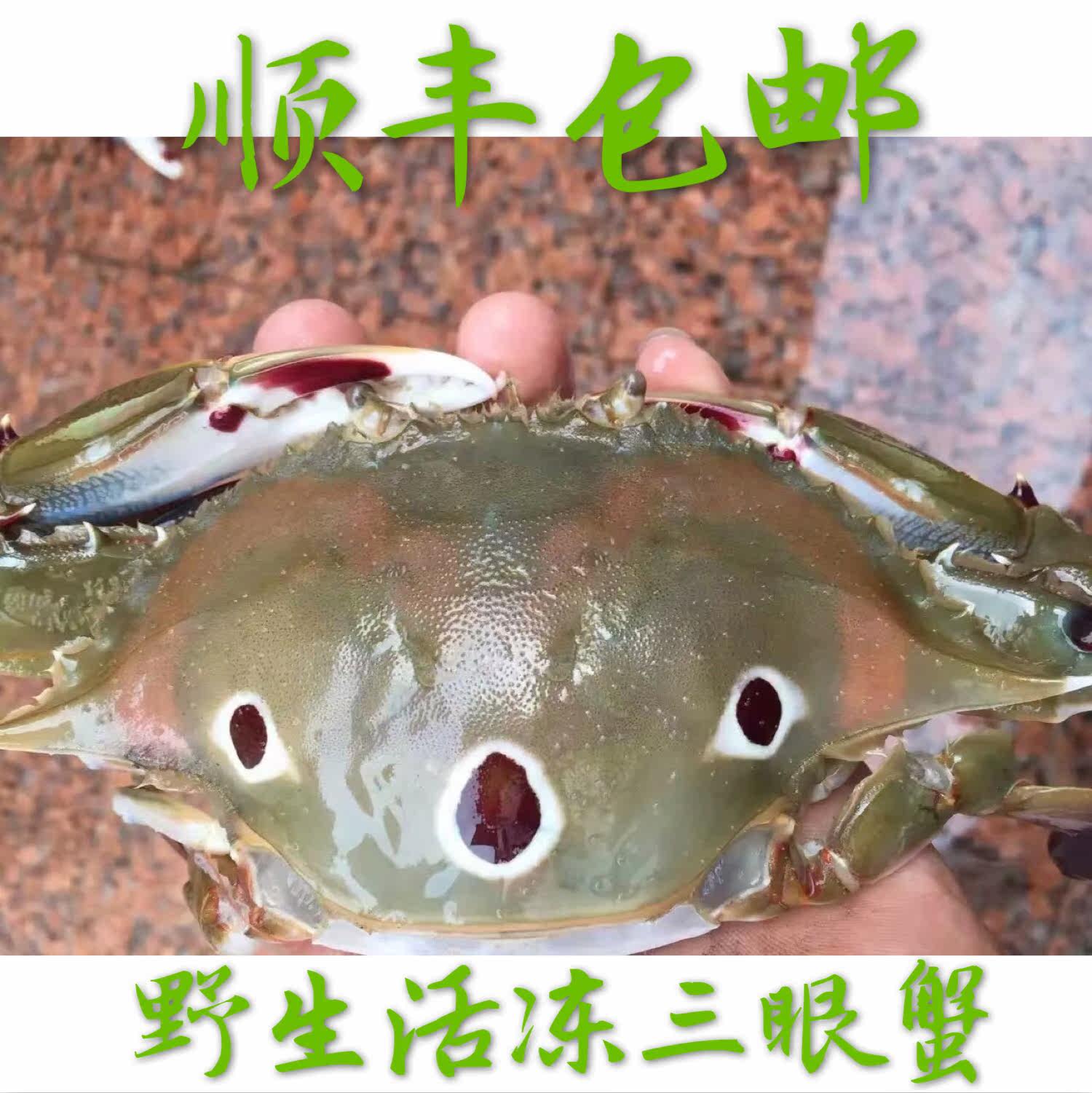 三眼蟹新鲜活冻海蟹东山岛野生三点红梭子蟹活冻大螃蟹滑嫩三点蟹