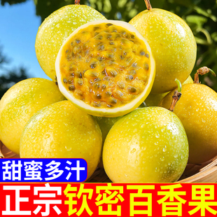 钦蜜9号黄金百香果5斤大果广西新鲜水果孕妇原浆亲密鸡蛋果包邮