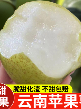 云南西双版纳苹果枣大果大青枣5斤新鲜冬枣大枣水果脆甜枣子顺丰