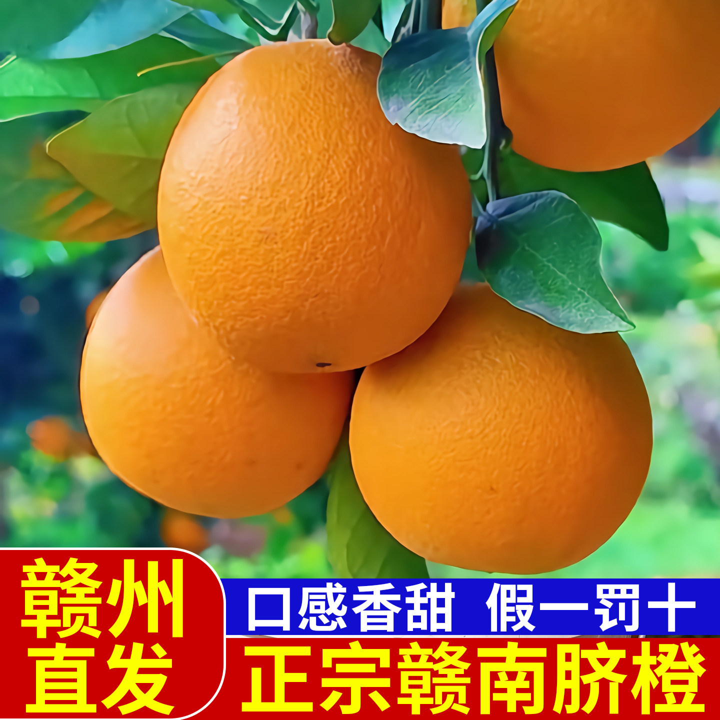 正宗赣南脐橙新鲜江西橙子孕妇水果寻乌手剥橙赣州产地直发挤橙10,水产肉类/新鲜蔬果/熟食,橙,淘宝优惠券,粉丝福利购,淘宝优惠卷