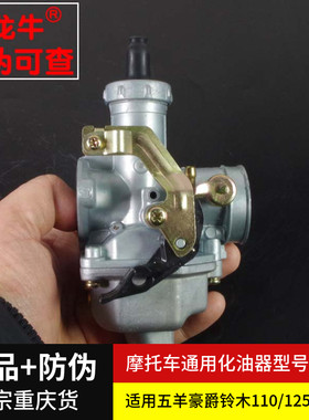 【恐龙牛+防伪】摩托车化油器