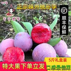 正宗浙江嵊州桃形李子新鲜水果当季现摘脆甜红心李三华李5斤整箱