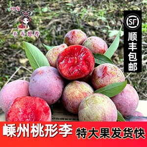 嵊州桃形李脆甜回购率高
