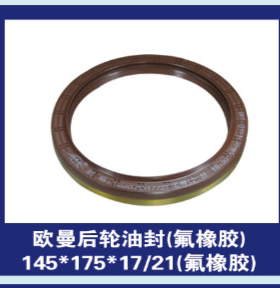 贯通轴油封76.276*95.2*10/20奔驰大江桥后轮油封145*175*17内转