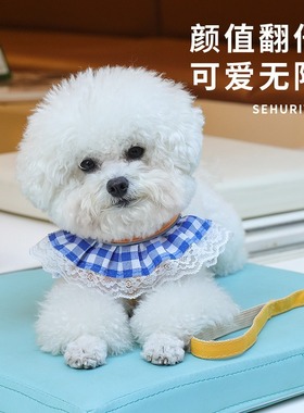 宠物狗狗胸背带遛猫绳宠物裙子小型犬比熊外出防挣脱透气牵引绳。