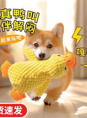 狗狗玩具解闷神器宠物小狗毛绒玩偶大狗自嗨发声磨牙耐咬狗狗用品