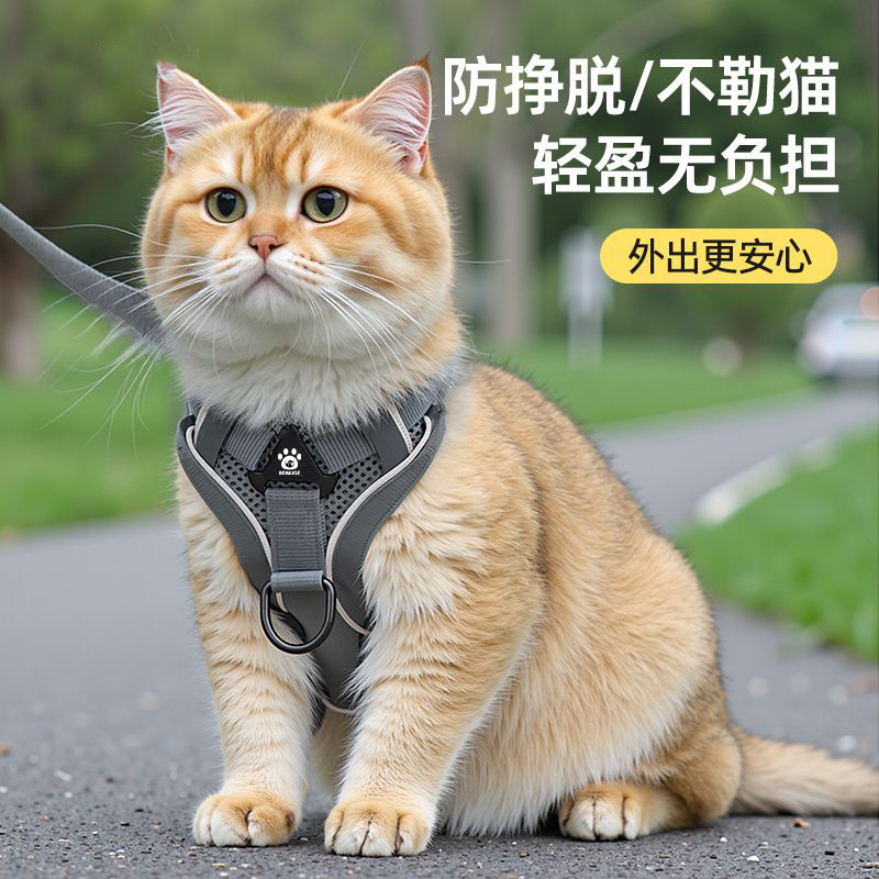 猫咪牵引绳防挣脱外出专用溜猫绳宠物背带链子可调节遛猫神器防