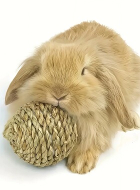 跨境热销宠物兔子藤球草编玩具球解闷磨牙水草球豚鼠龙猫啃咬用品