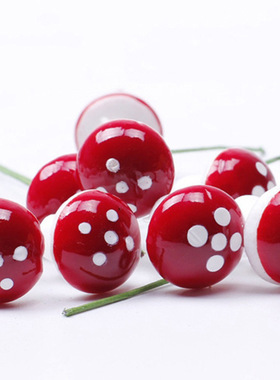 苔藓微景观摆件 红色泡沫 蘑菇配件 DIY组装小摆件玩具