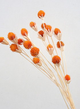 八角花草莓果干花花束手工diy材料婚庆捧花配材家居装饰插花摆件