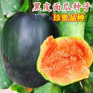 黑皮面瓜种子阳台盆栽庭院面瓜香甜老式面瓜种籽爆甜瓜子蔬菜种子