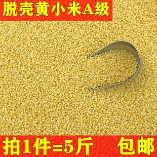 黄小米脱壳黄谷子文鸟珍珠鸟虎皮鹦鹉鸟食鸟粮饲料蛋小米原料包邮