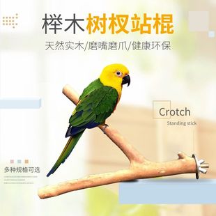 鹦鹉站棍原木树杈鸟站杠树枝玄凤虎皮牡丹栖息站架玩具笼子配件