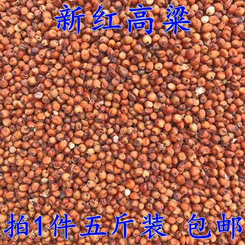 红高粱鸽粮鸟食玄凤虎皮鹦鹉饲料信鸽子粮食仓鼠宠物零食5斤包邮 - 封面