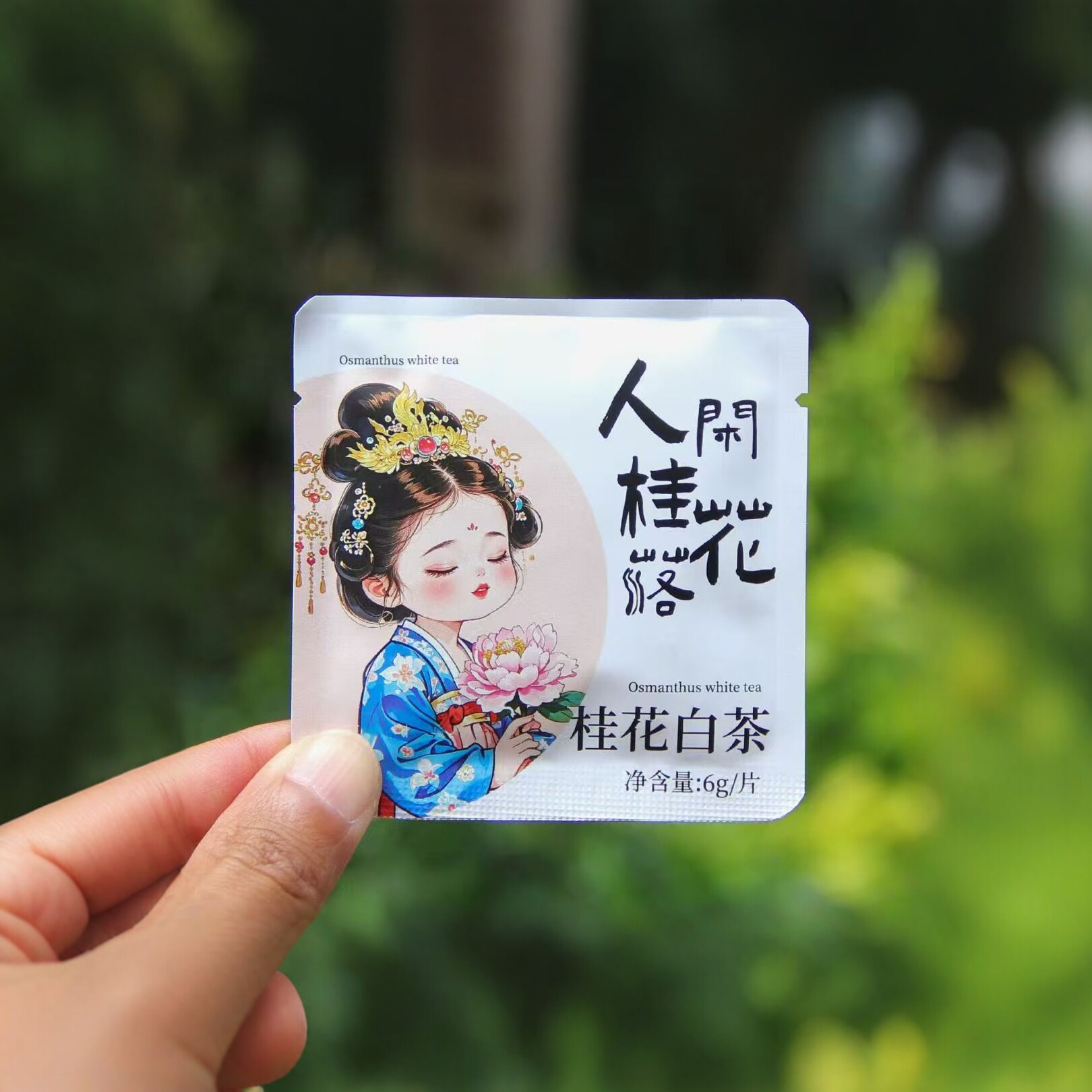 云南白茶桂花白茶独立小包装