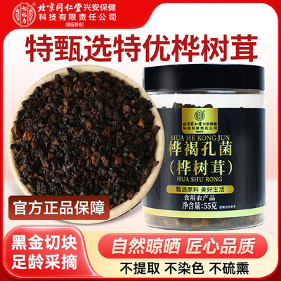 北京同仁堂桦褐孔菌桦树茸