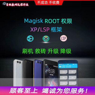 适用于小米红米全系远程刷机小米6 8 9 10面具root权限xp/lsp框架