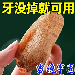 【重度牙松可固】牙龈退缩牙根外露固齿牙膏修复牙龈酸软肿痛出血