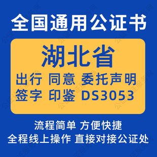 湖北省公证委托书声明签名字房产买卖出行同意证据保全异地远程