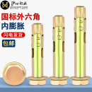 沪心国标外六角内膨胀螺丝爆炸内置式 地板拉爆膨胀螺栓M6M8M10M12