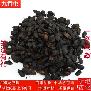 九香虫 中药材炒过九香虫,半翅目,异翅亚目,瓜黑蝽冷背药 500克