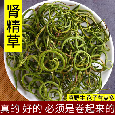 云南野生小叶化石草500g 新货无硫肾精草 正品肾精茶黄金草嗷嗷叫