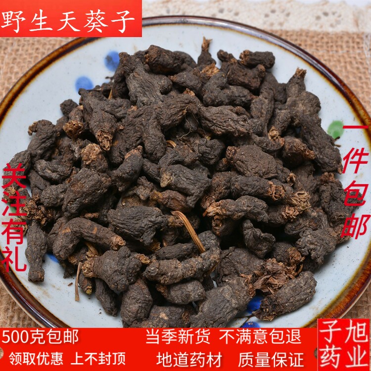 天葵子中药材 精选千年老鼠屎紫背天葵天去子金耗子屎天葵根500克