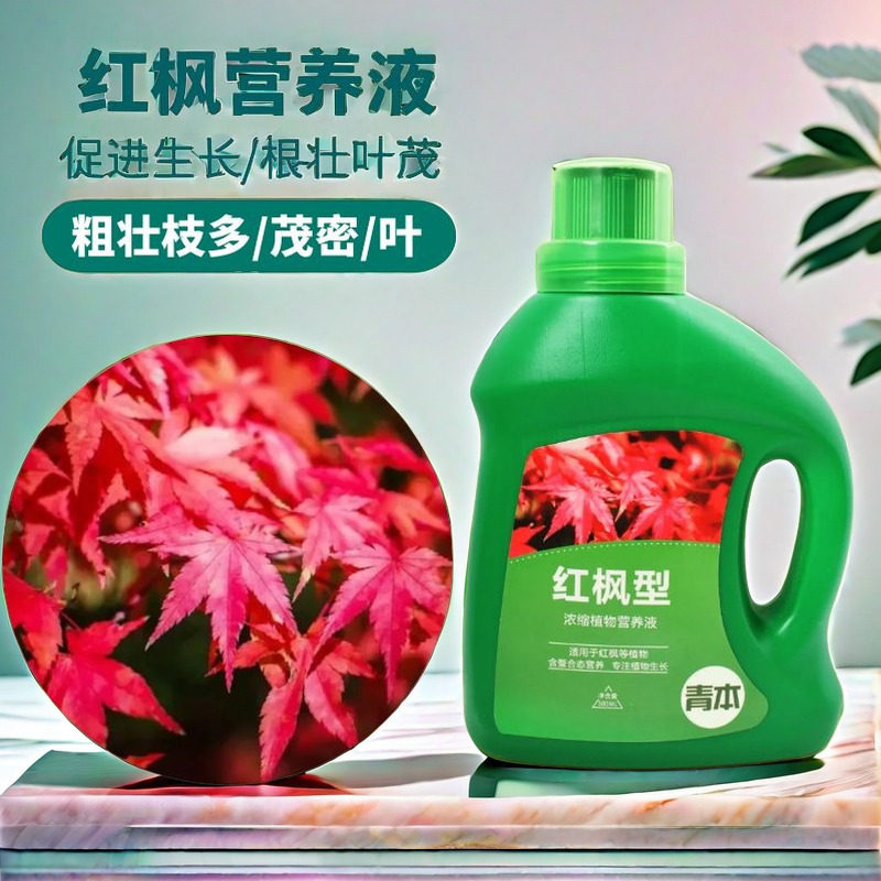 红枫树专用肥营养液盆景肥三季小枫树盆栽枫叶家用植物浓缩液体肥