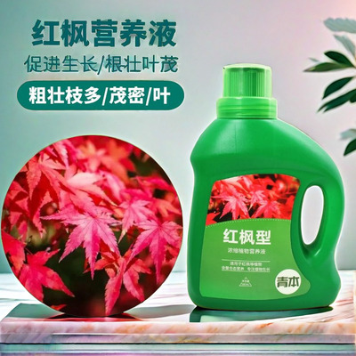红枫树专用肥营养液盆景肥三季小枫树盆栽枫叶家用植物浓缩液体肥
