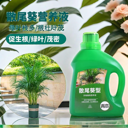 散尾葵专用营养液花肥叶子发黄凤尾竹专用肥料夏威夷竹富贵椰子肥