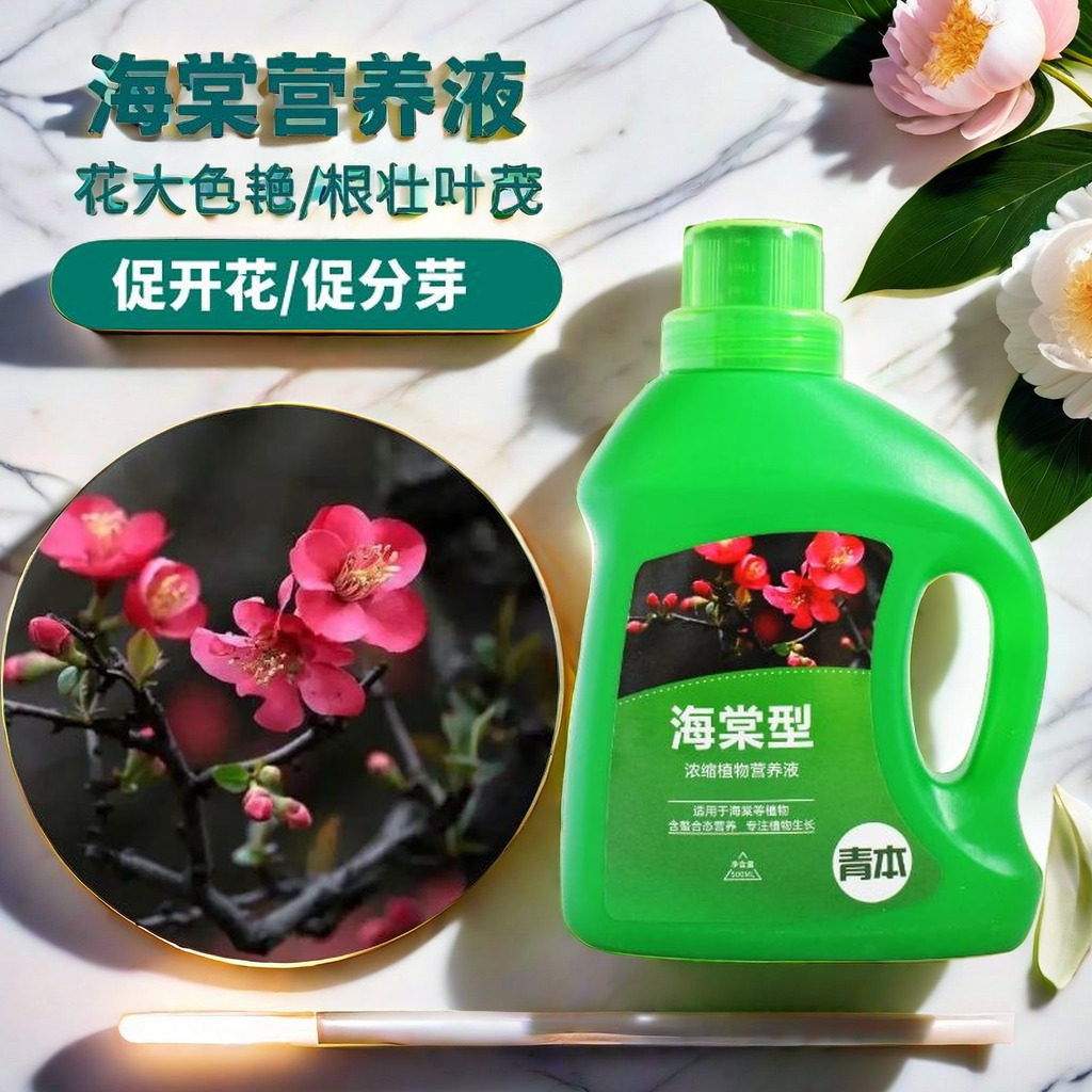 海棠花专用肥家用盆栽通用型防黄叶促开花海棠肥料缓释肥四季开花