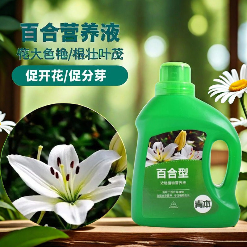 百合营养液百合专用肥料花用复合肥促进开花的肥料种球肥料磷钾肥