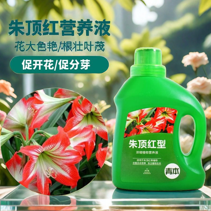朱顶红营养液专用肥料朱顶红营养液花肥盆栽绿植水培植花卉通用型